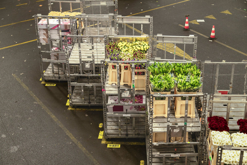 Transportera blommor kylt: tips för blomsterbranschen