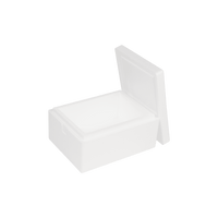 EPS-frigolitlåda 10 L, 400 x 300 x 200 mm