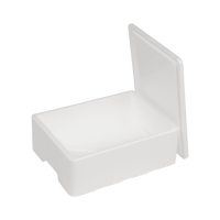 EPS-frigolitlåda 7 L, 400 x 300 x 110 mm
