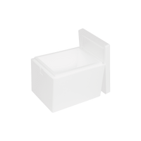 EPS-frigolitlåda 17,5 L, 400 x 300 x 300 mm