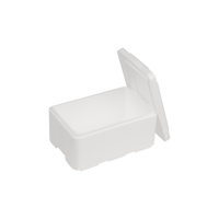 EPS-frigolitlåda 5 L, 300 x 200 x 155 mm