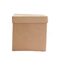 Eco Coolbox 400 x 300 x 300 mm Vit