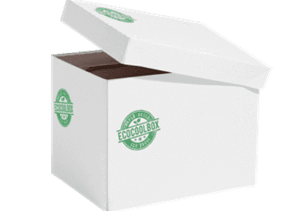 Eco Coolbox 400 x 300 x 300 mm Vit