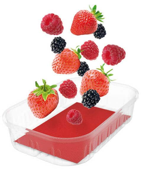 Absorptionsmatta Frukt - olika storlekar (10 stycken)