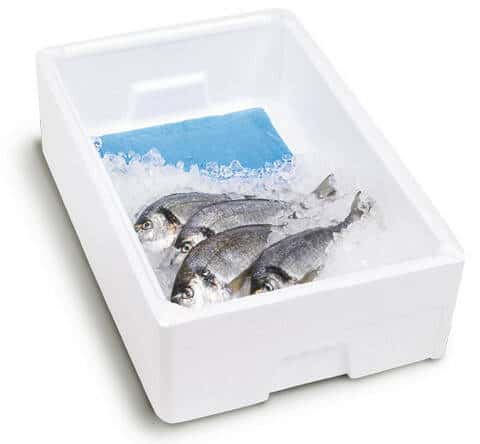Absorptionsmatta Fisk - olika storlekar (10 stycken)